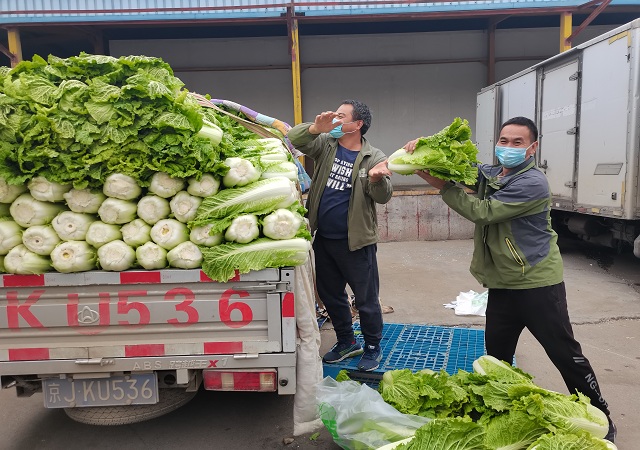 乐竞体育电竞（中国）股份有限公司官网加大“冬储菜”调运，全力做好保供稳价